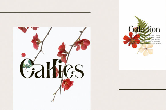 Gallies Font - Preview 3