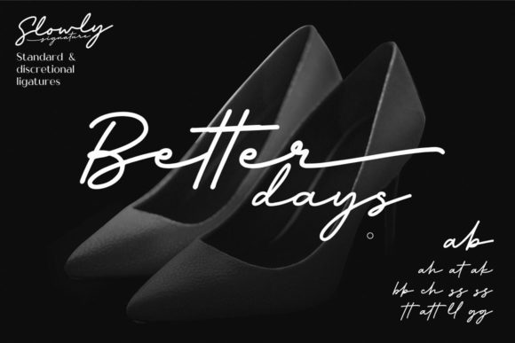 Slowly Signature Font PNG with transparent background - Preview 5