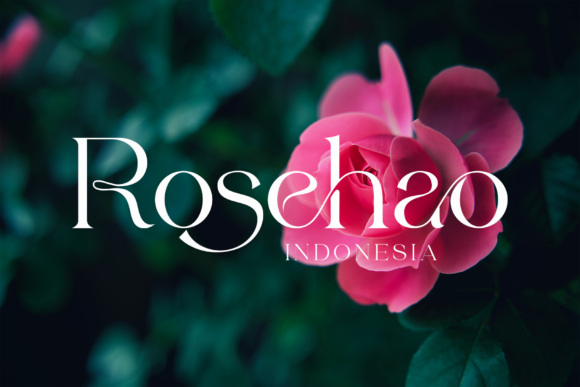 Abygaer Font - Preview 3