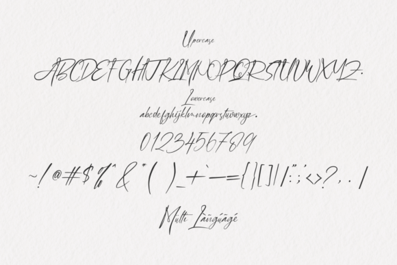 Amelia Bilquest Font - Preview 6