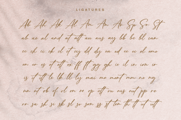 Amtenli Script Font - Preview 6