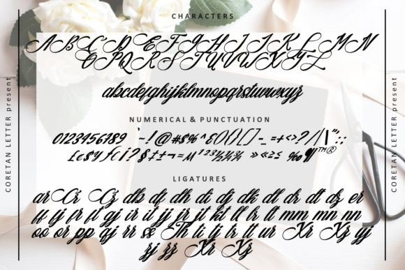 Araulga Laudery Font - Preview 2