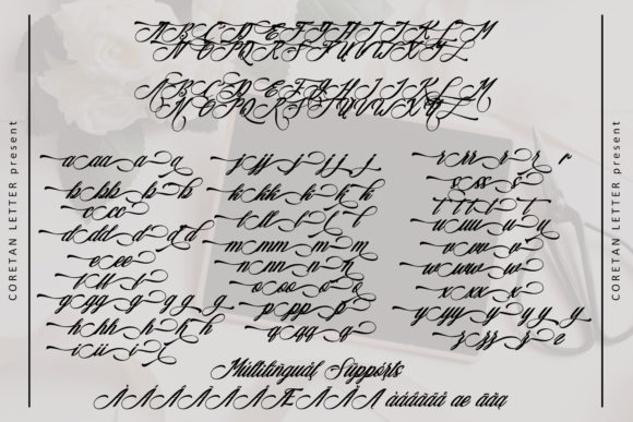 Araulga Laudery Font - Preview 3