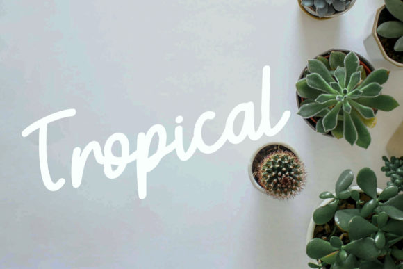 Bellia Font - Preview 6