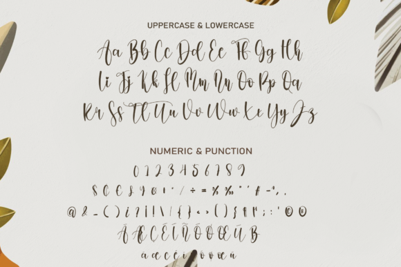 Brilliant Font - Preview 4