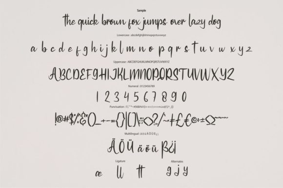Esllieba Script Font - Preview 5