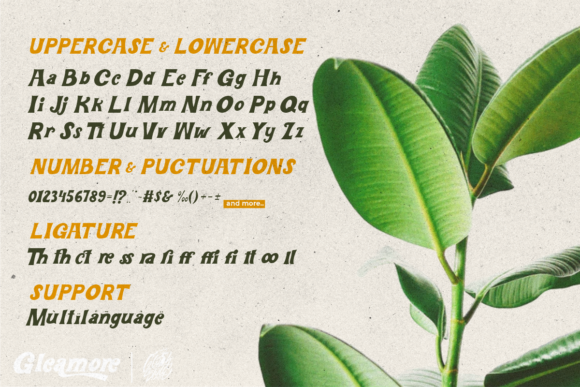 Gleamore Font - Preview 6