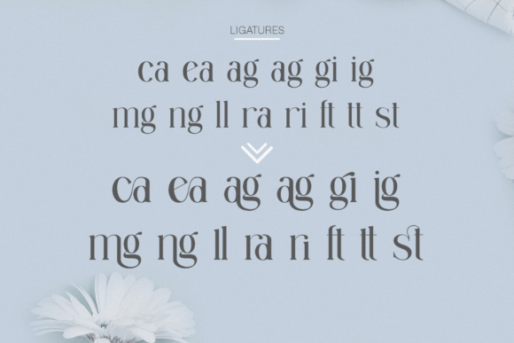 Granger Font - Preview 5