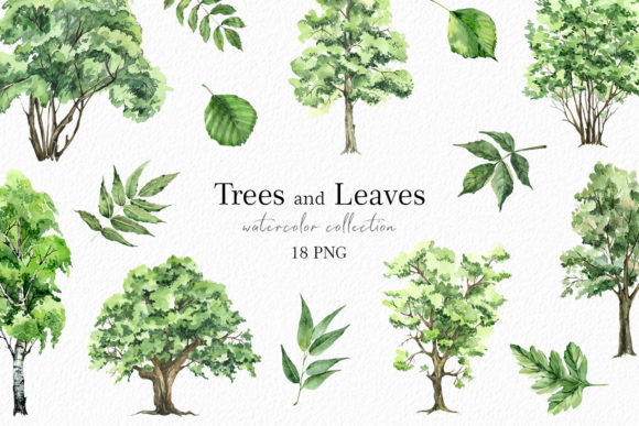 Green Forest Trees Watercolor Clipart