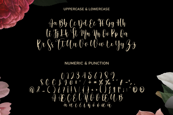 Mandala Absolute Font PNG with transparent background - Preview 5