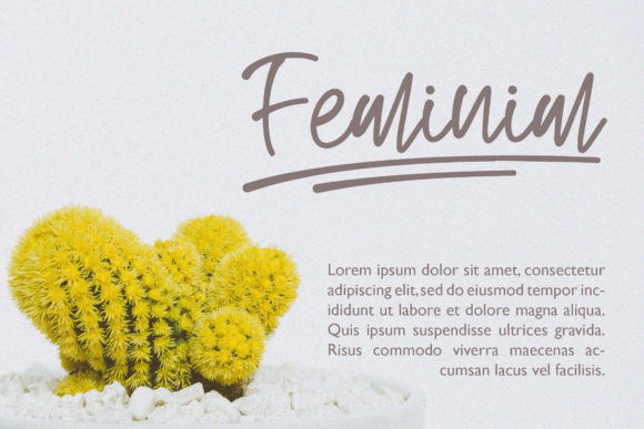 Renatta Script Font PNG with transparent background - Preview 1