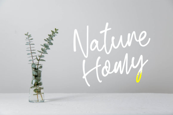 Renatta Script Font PNG with transparent background - Preview 2
