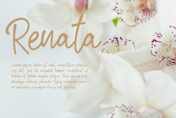 Renatta Script Font PNG with transparent background - Preview 5