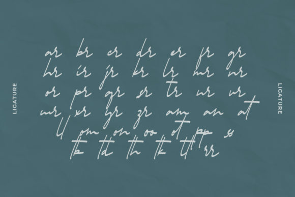 Jaysen Font - Preview 4