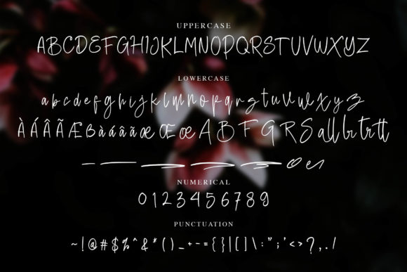 Battie Sellie Font - Preview 5