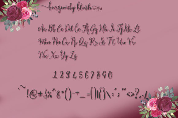 Burgundy Blush Script Font - Preview 4