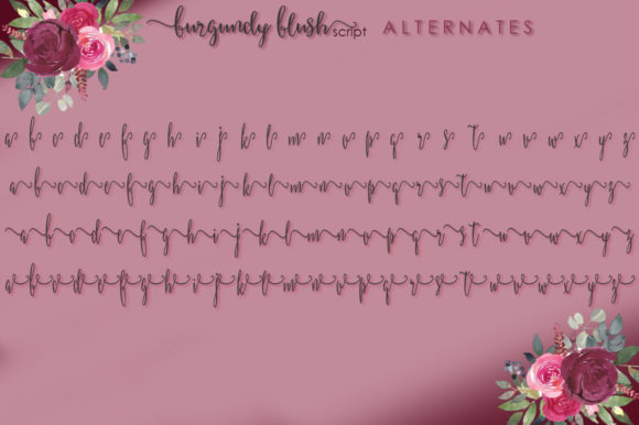 Burgundy Blush Script Font - Preview 5