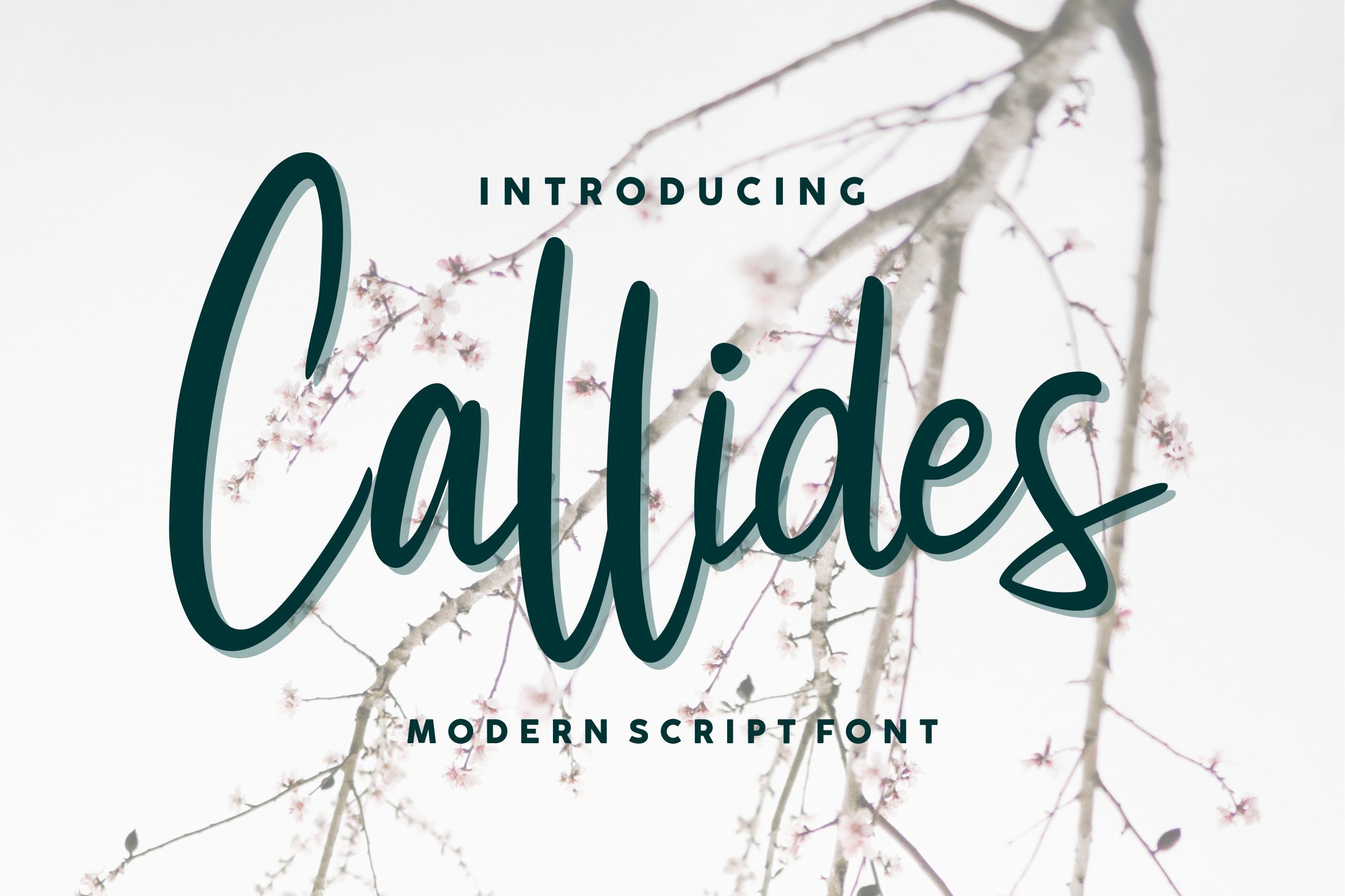 Callides Script preview, placeholder image