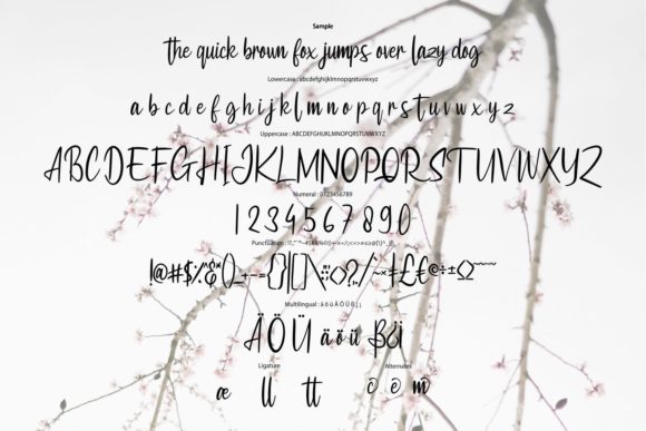 Callides Script Font - Preview 5