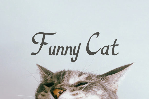 Dutiful Font - Preview 2