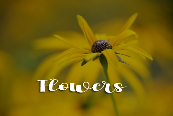 First Time Font - Preview 5