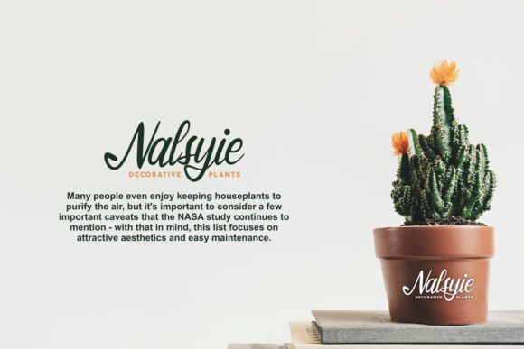 Matlinal Script Font PNG with transparent background - Preview 2