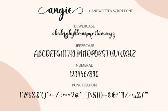 Angie Font - Preview 6