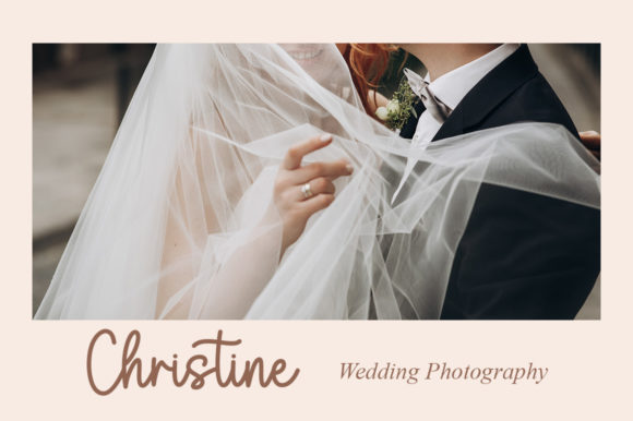 Birgitta Font - Preview 4