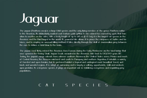 Durkin Font PNG with transparent background - Preview 2