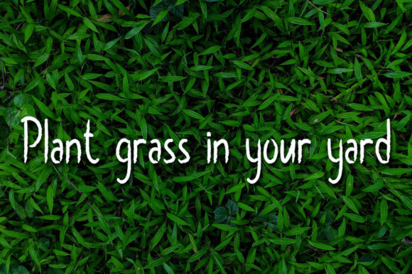 Grass Green Font - Preview 1