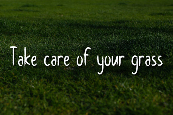 Grass Green Font - Preview 3