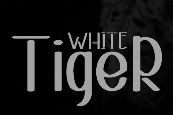 Magic Line Font PNG with transparent background - Preview 2