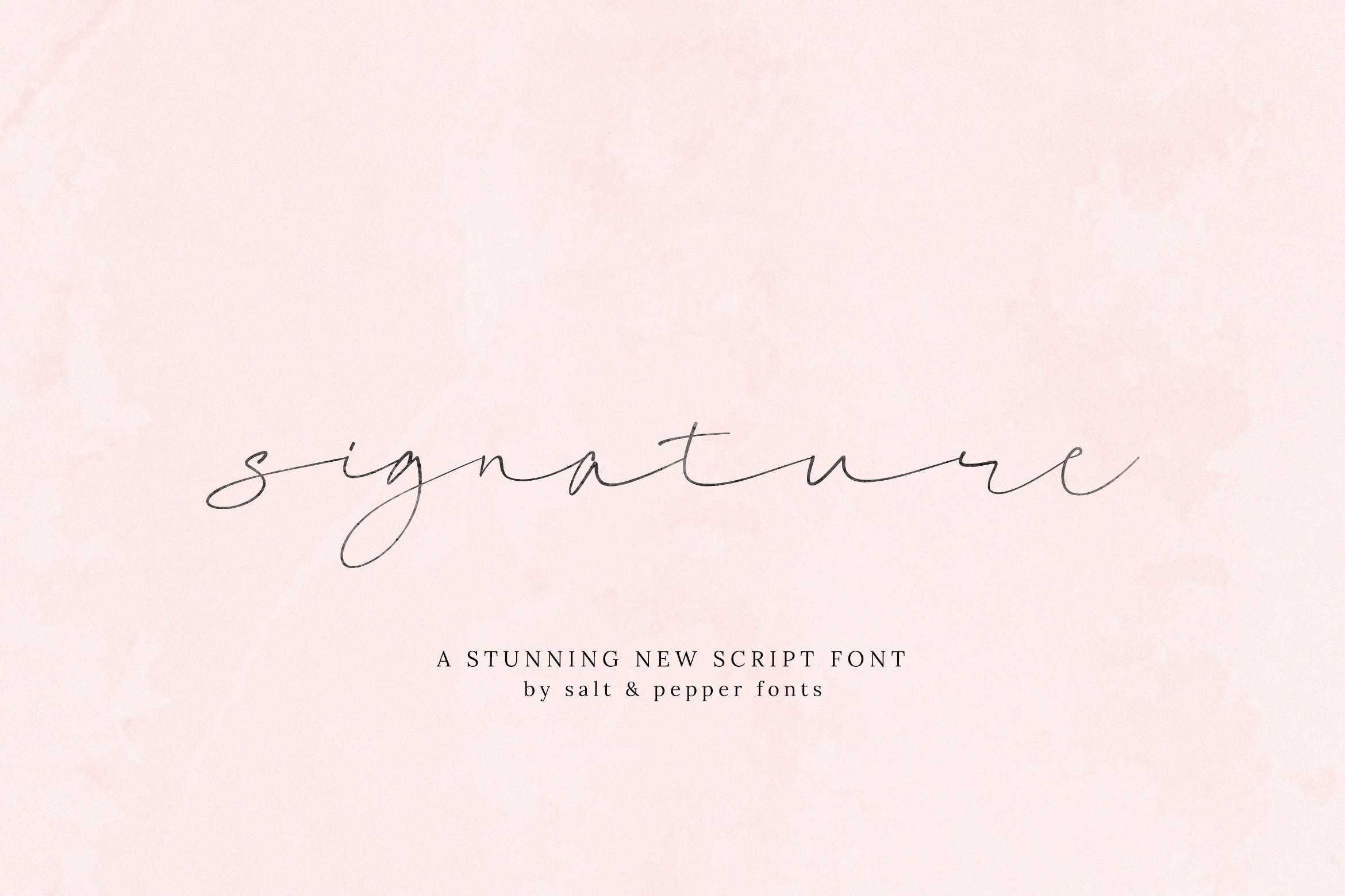 Signature Script preview - elegant flowing signature-style script