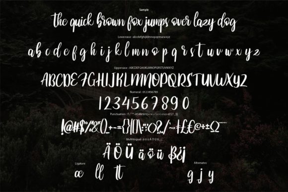 Bettida Font - Preview 5