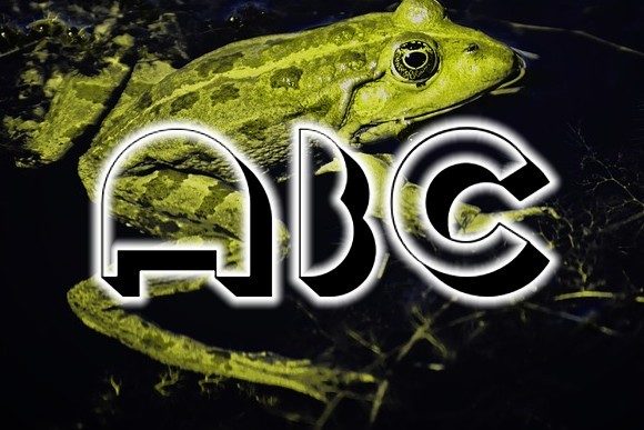 Frog Font - Preview 1