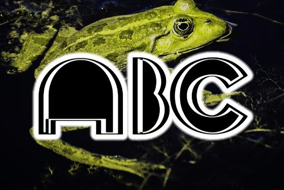 Frog Font - Preview 2