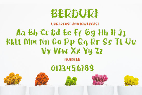 Berduri Font - Preview 4