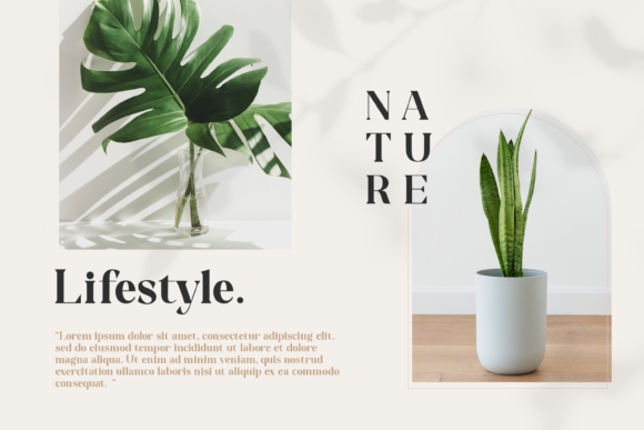 Chiara Feragni Font - Preview 2