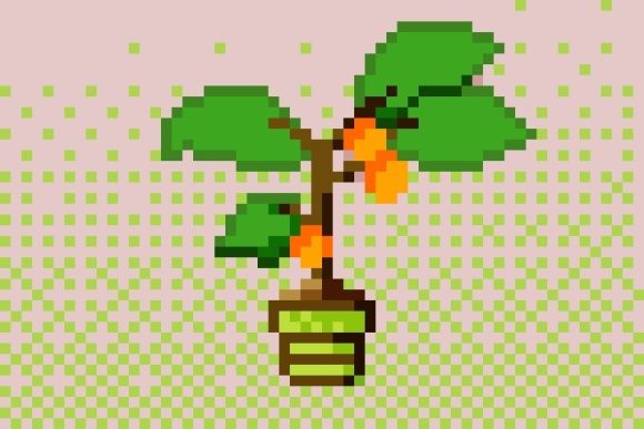 chestnut plant Red Horse Chestnut