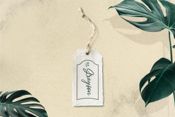 Celestie Font PNG with transparent background - Preview 2