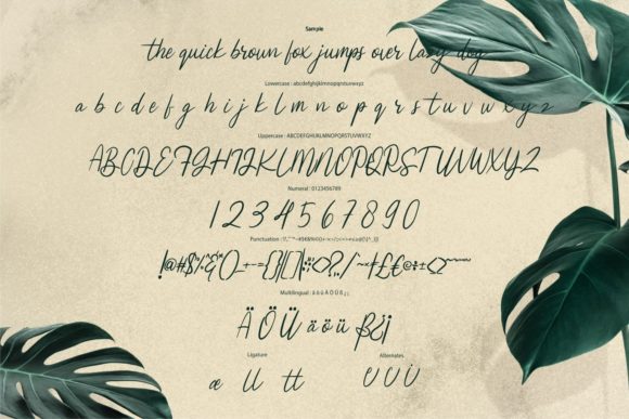 Celestie Font PNG with transparent background - Preview 5