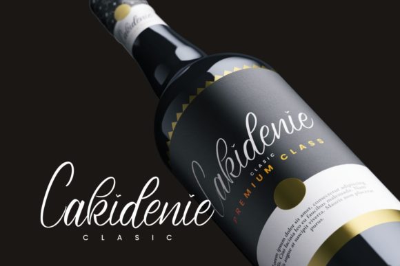 Ashylane Script Font - Preview 3