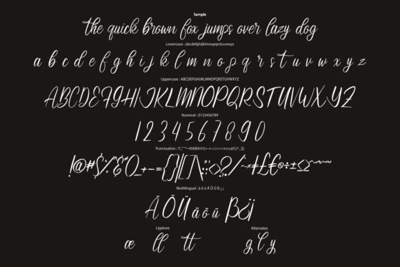 Ashylane Script Font - Preview 5