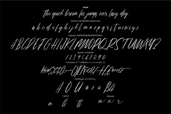 Basattian Script Font - Preview 5