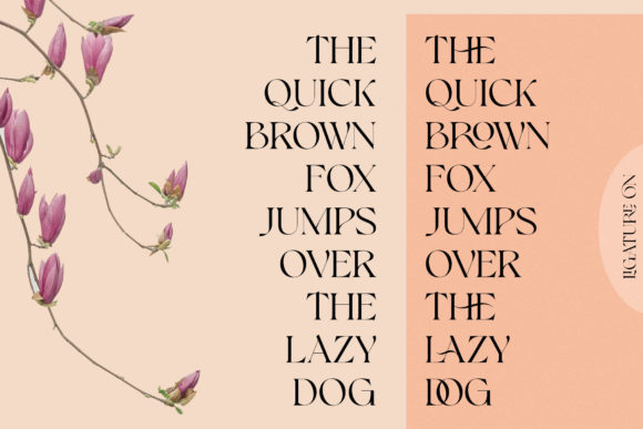 Bonky Font PNG with transparent background - Preview 2