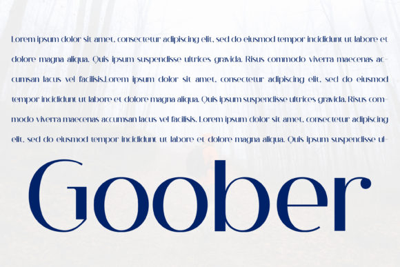 Goober Font - Preview 3