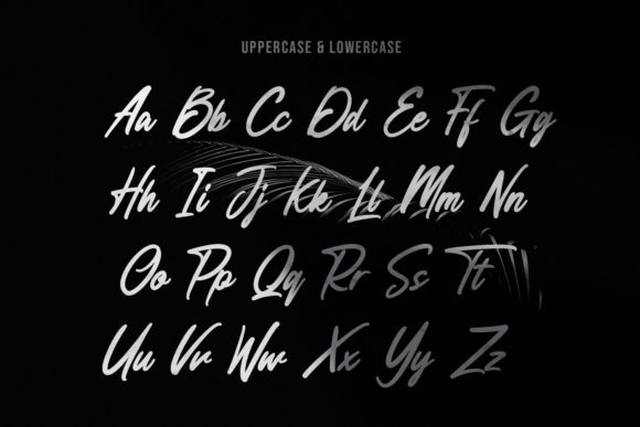 Anesthesa Font - Preview 3