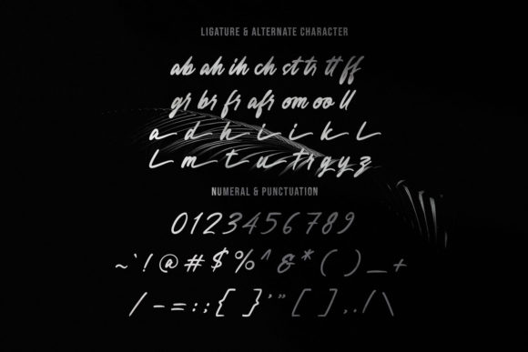 Anesthesa Font - Preview 4