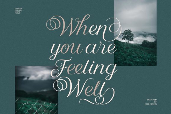 Nandola Font PNG with transparent background - Preview 2