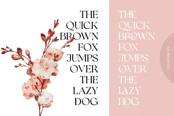 Romans Story Font font preview - 5